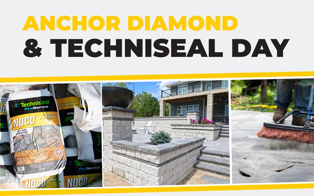Anchor Diamond & Techniseal Day 
